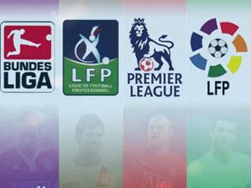 沉着反应 沉着反应